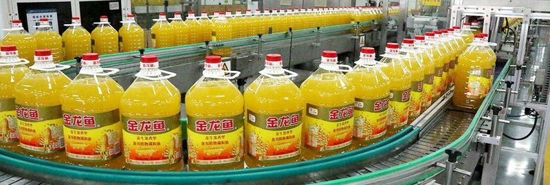 自貢金龍魚代理貿易公司怎么樣
