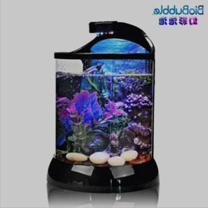 藍底魚缸養金龍魚好不好：在藍底魚缸中養金龍魚之前需要了解金龍魚的生活習性和需求