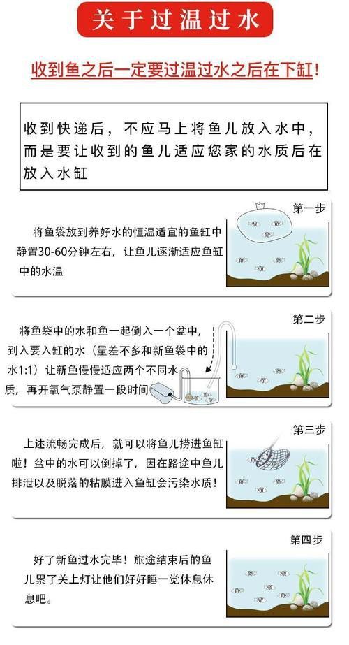 金龍魚張嘴呼吸不吃食