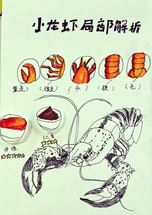 有沒有高清的龍蝦解剖圖？