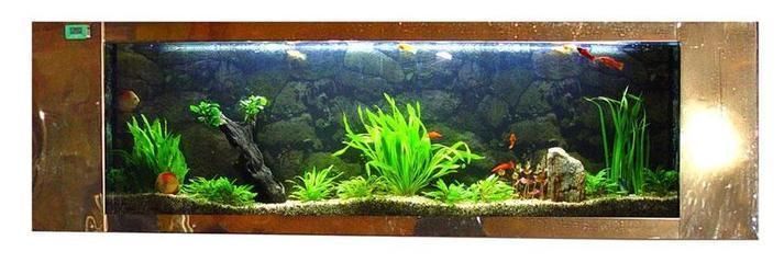 龍魚用什么魚缸比較好養活一些：關于龍魚魚缸的選擇 龍魚用什么魚缸比較好養活一些：關于龍魚魚缸的選擇 龍魚百科 第4張