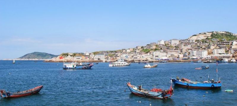 青島龍魚在哪賣的多 青島龍魚在哪賣的多 龍魚百科 第5張