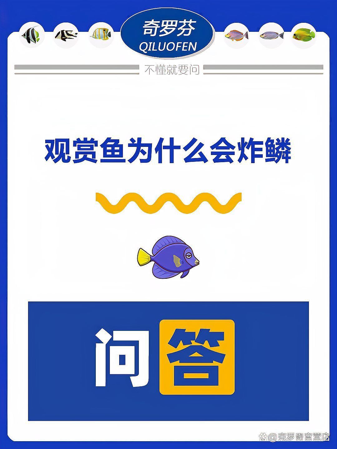 魚肚子大炸鱗了簡單治療