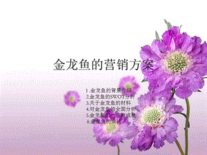 養紅龍魚視頻講座大全集播放下載（養紅龍魚視頻講座大全集播放下載安裝） 養紅龍魚視頻講座大全集播放下載（養紅龍魚視頻講座大全集播放下載安裝） 龍魚百科