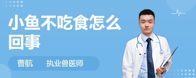 如何預防六角恐龍常見疾??？ 如何預防六角恐龍常見疾病？ 龍魚百科 第9張