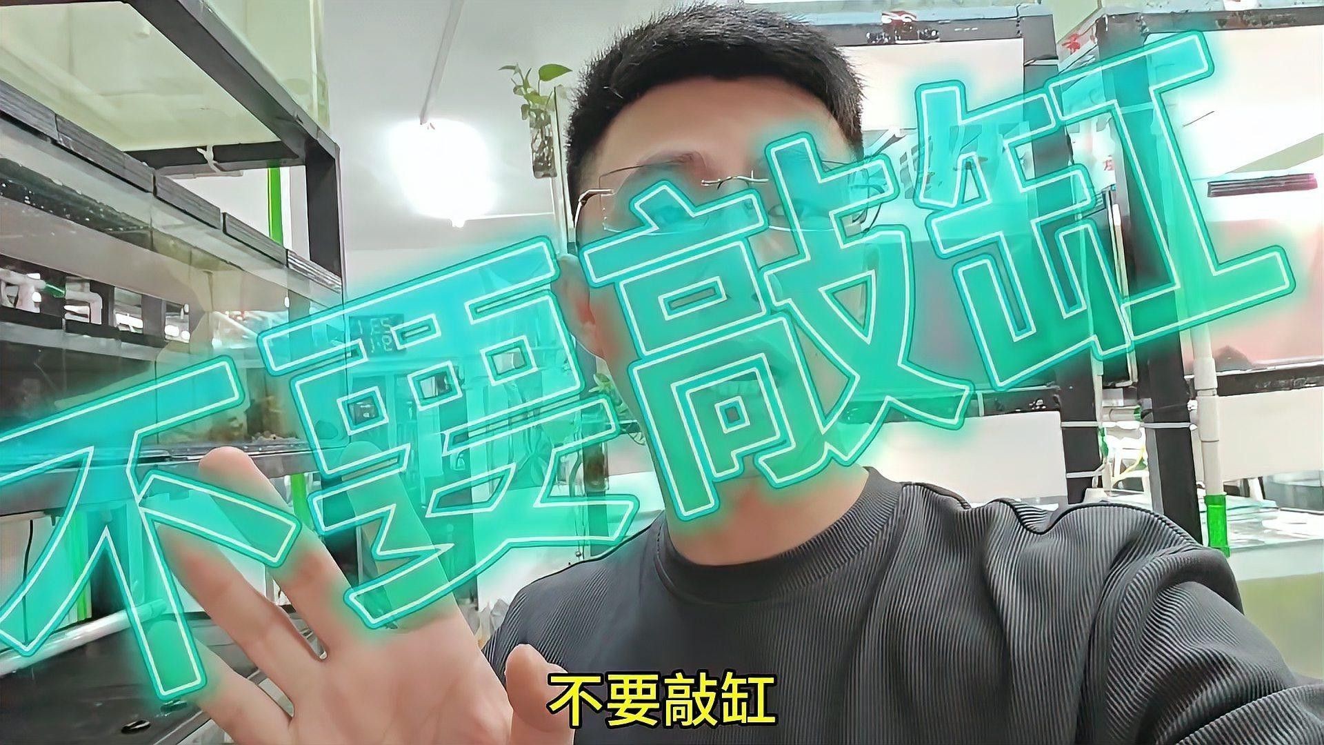 入缸雷龍魚一直趴缸底