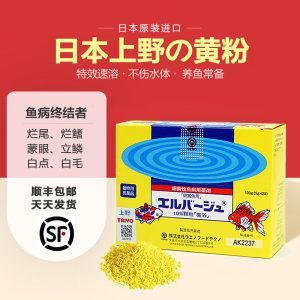 龍魚常用藥物及用途：養龍魚常用藥物及其用途 龍魚常用藥物及用途：養龍魚常用藥物及其用途 龍魚百科 第1張