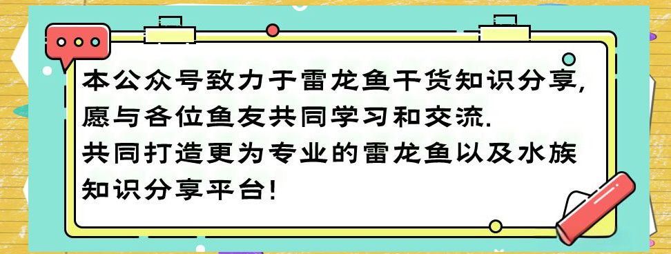 如何判斷雷龍魚眼睛外凹的嚴重程度？