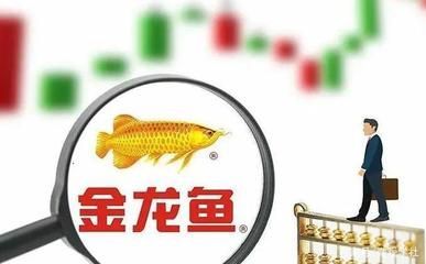 金龍魚 日資，金龍魚上市與資本市場表現分析