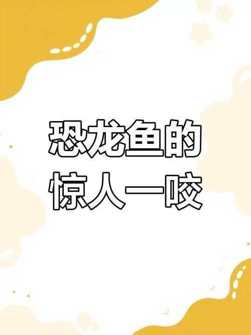 龍?jiān)呆~(yú)照片