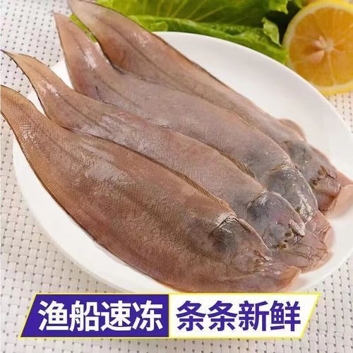 龍?jiān)呆~(yú)照片