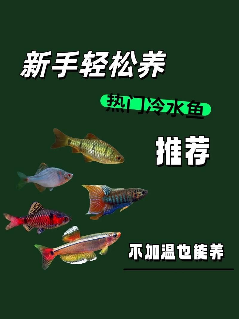 龍?jiān)呆~(yú)照片