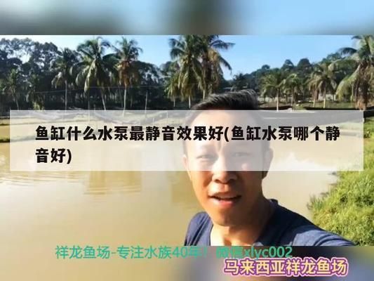 龍魚缸過(guò)濾系統(tǒng)安裝圖（龍魚缸過(guò)濾系統(tǒng)安裝步驟和注意事項(xiàng)和注意事項(xiàng)） 龍魚缸過(guò)濾系統(tǒng)安裝圖（龍魚缸過(guò)濾系統(tǒng)安裝步驟和注意事項(xiàng)和注意事項(xiàng)） 龍魚百科 第4張