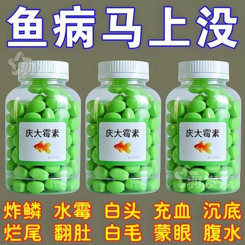 龍魚鰓蟲圖片 龍魚鰓蟲圖片 龍魚百科 第13張