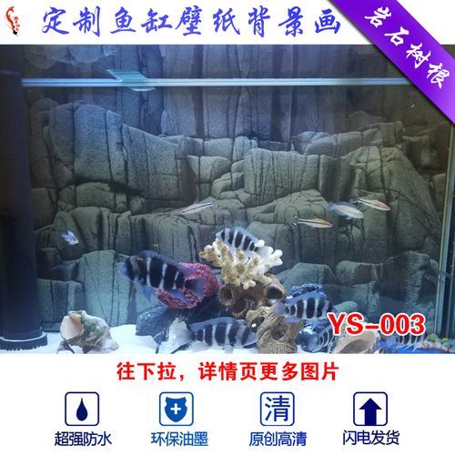 龍魚魚缸可以造景嗎：關于龍魚魚缸造景的詳細信息