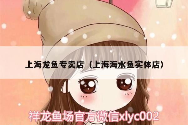 龍魚哪里賣的價格高些：武漢龍魚市場價格波動原因龍魚價格波動原因