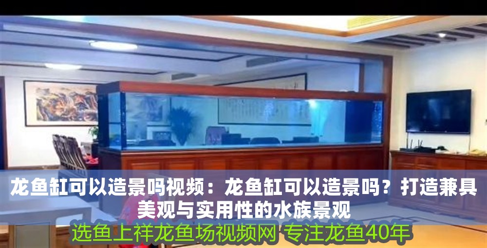 龍魚缸可以造景嗎視頻：龍魚缸可以造景嗎？打造兼具美觀與實用性的水族景觀