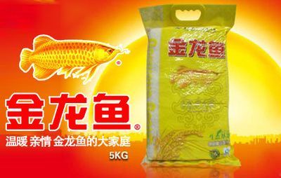 金龍魚金線的具體產地可以通過以下幾個方面進行進行探討：金龍魚金線在什么地方，