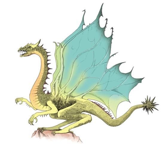綠龍圖片 綠龍圖片 龍魚百科 第15張