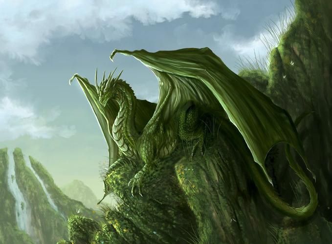 綠龍圖片 綠龍圖片 龍魚百科 第18張