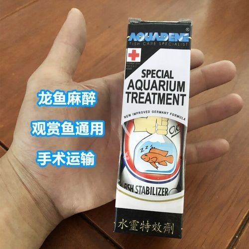 龍魚麻醉運(yùn)輸方法有哪些圖片