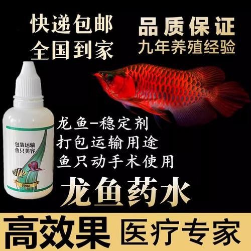 龍魚麻醉運(yùn)輸方法有哪些圖片