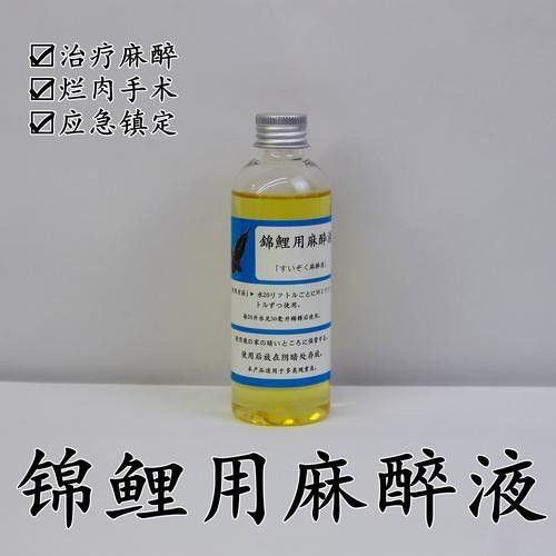 龍魚麻醉運(yùn)輸方法有哪些圖片