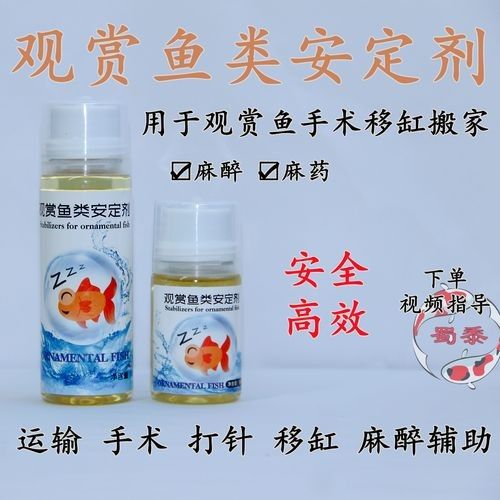 龍魚麻醉運(yùn)輸方法有哪些圖片