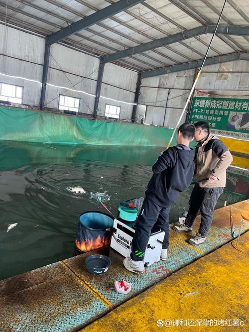 龍魚麻醉運(yùn)輸方法有哪些圖片