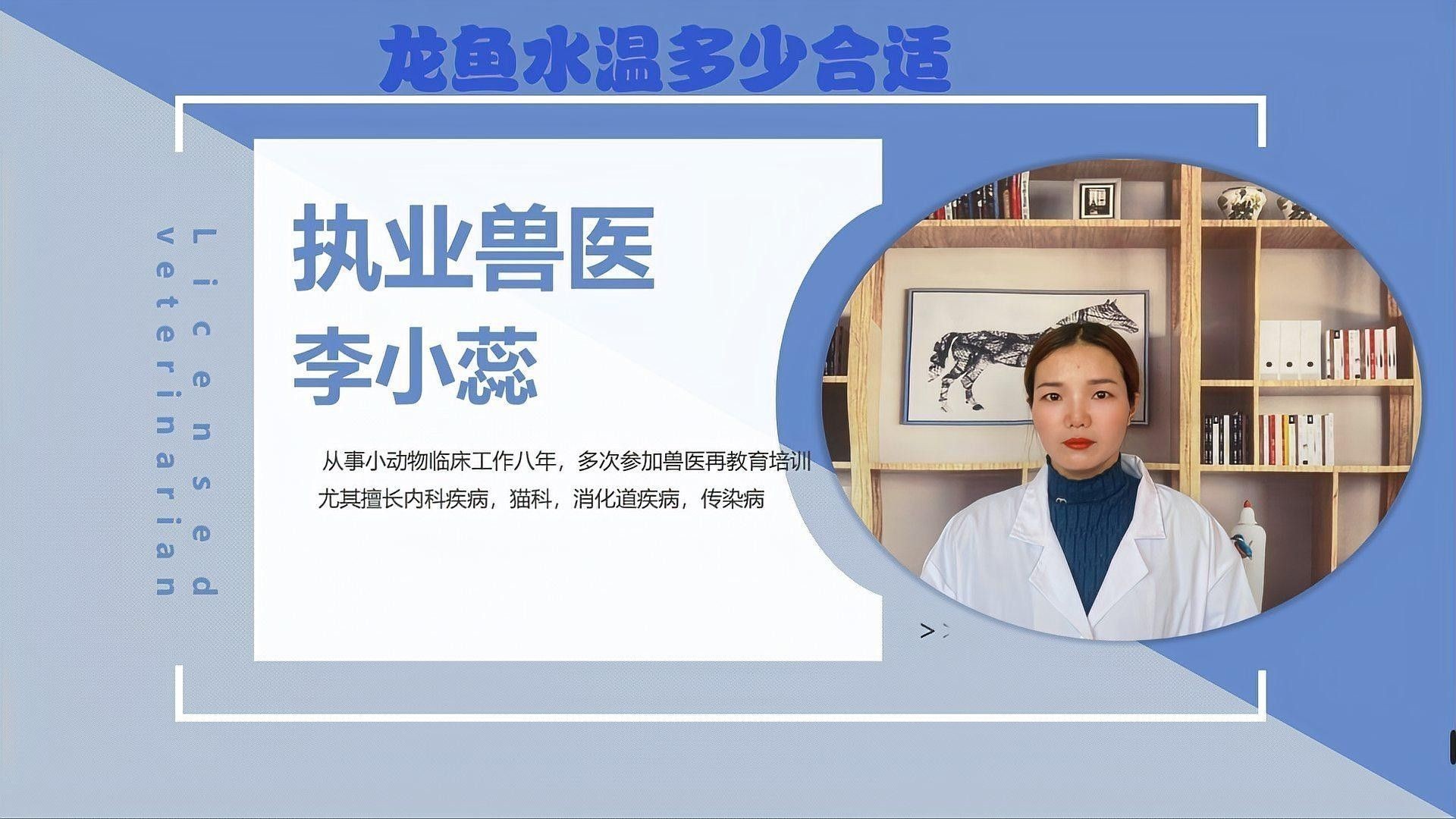 龍魚(yú)的水怎么養(yǎng)活