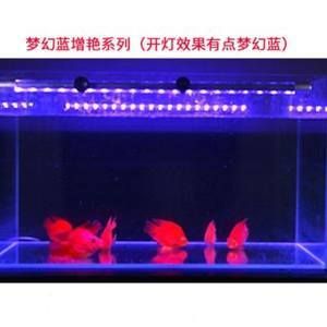 紅龍魚缸底色（養紅龍魚用什么顏色底板和背景色好-龍魚學堂）