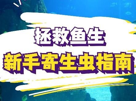 如何預防龍魚感染體外寄生蟲？ 如何預防龍魚感染體外寄生蟲？ 龍魚百科 第2張