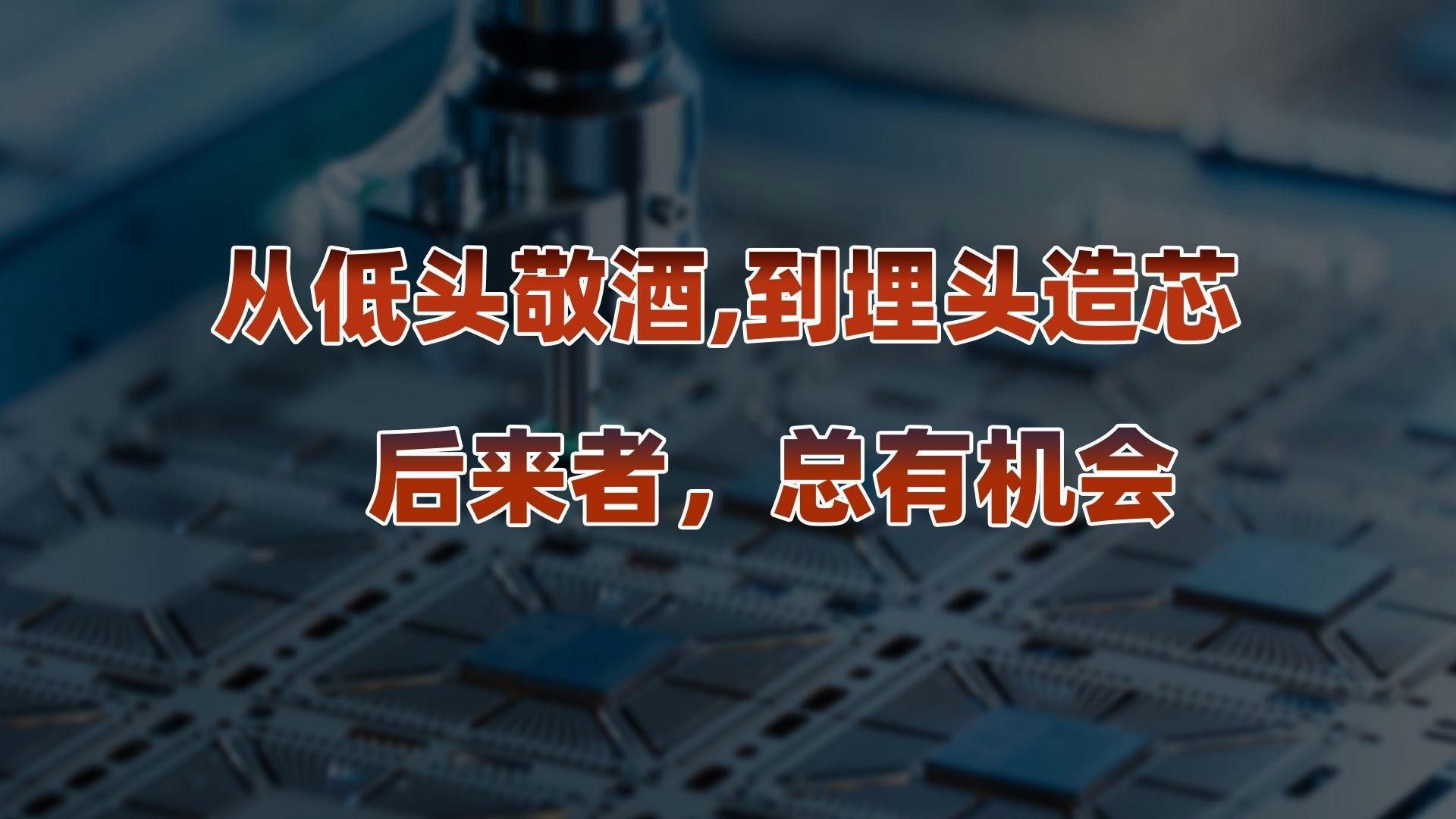 帝龍芯片的未來發展規劃是什么？ 帝龍芯片的未來發展規劃是什么？ 龍魚百科 第1張