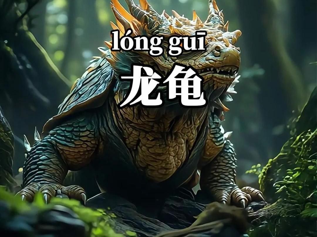 龍龜有哪些品種？