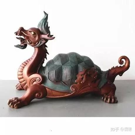 龍龜有哪些品種？