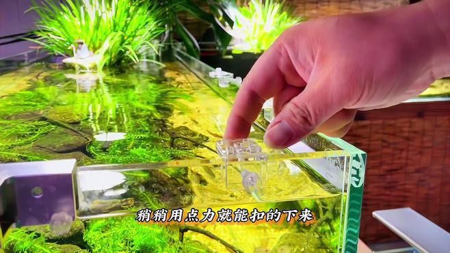 有哪些有效的防跳網推薦？