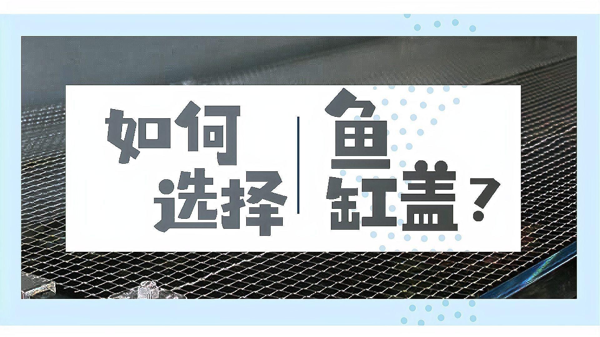 有哪些有效的防跳網推薦？