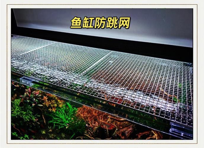 有哪些有效的防跳網推薦？