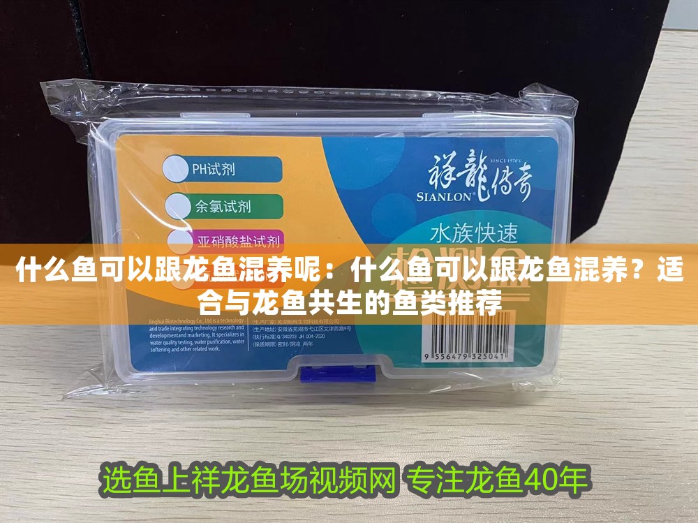 什么魚可以跟龍魚混養呢：什么魚可以跟龍魚混養？適合與龍魚共生的魚類推薦