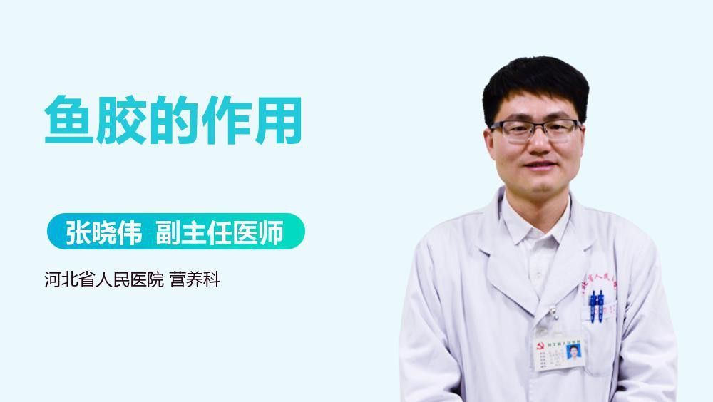 金龍魚也能吃嗎