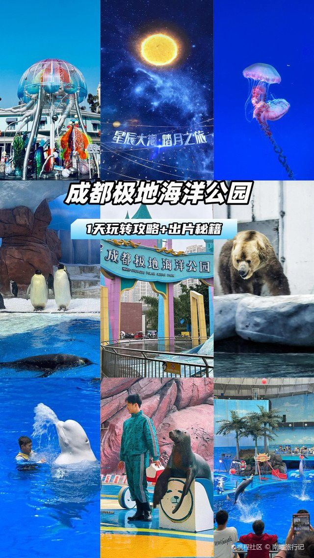 成都龍魚市場怎么樣啊