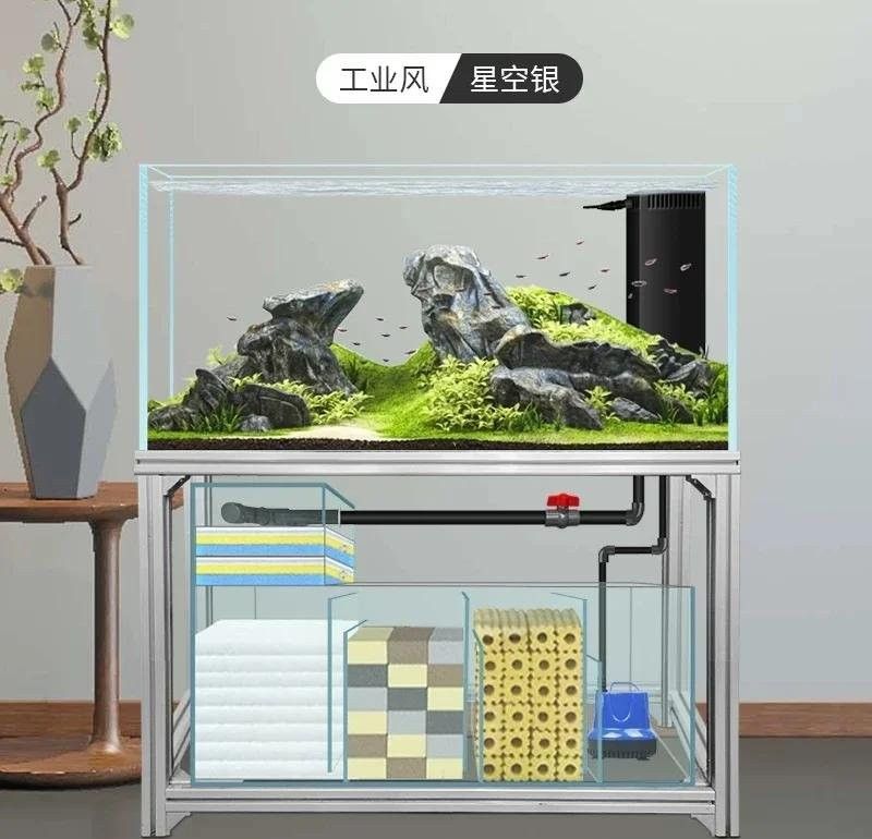 龍魚蒙眼癥有哪些治療方法？