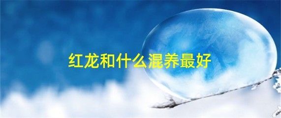 和紅龍魚混養的高端魚種是什么意思：與紅龍魚混養的高端魚種是什么意思