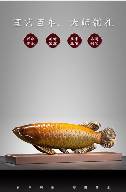 金龍魚的風水講究圖解
