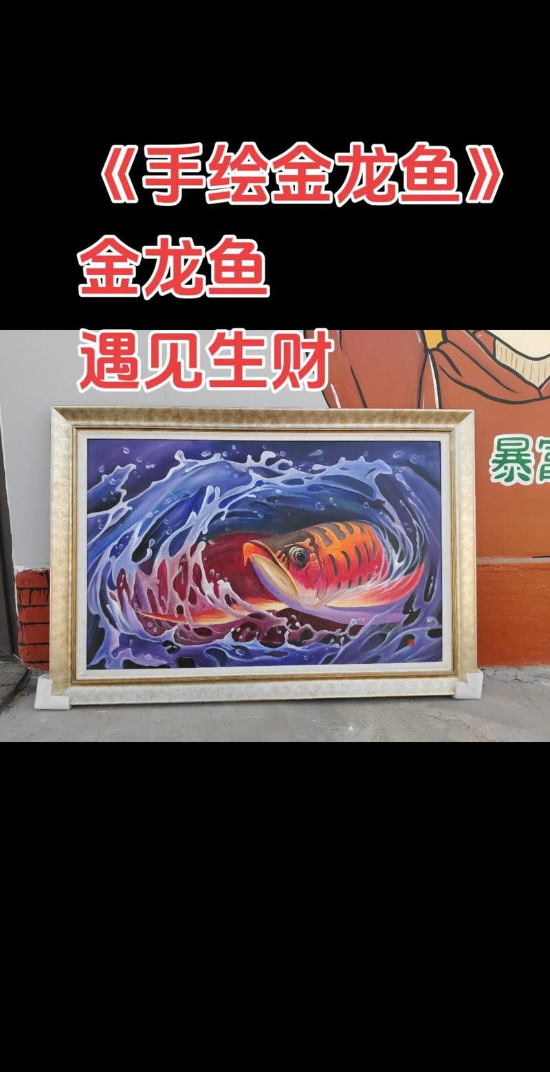 金龍魚的風水講究圖解
