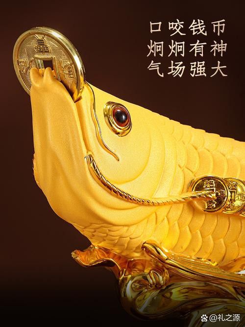 金龍魚的風水講究圖解