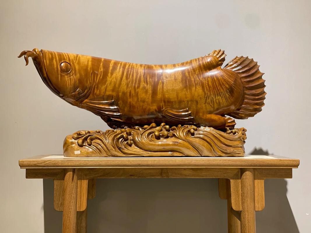 金龍魚的風水講究圖解