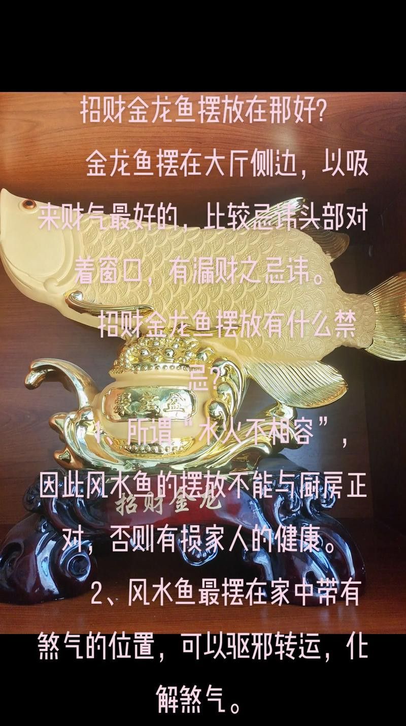 金龍魚的風水講究圖解