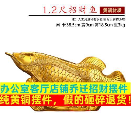 金龍魚的風水講究圖解
