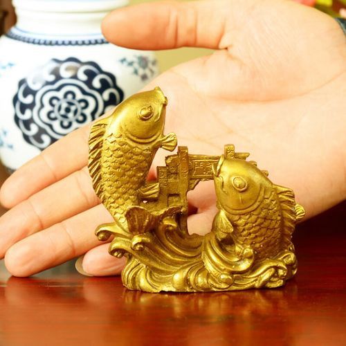 金龍魚的風水講究圖解